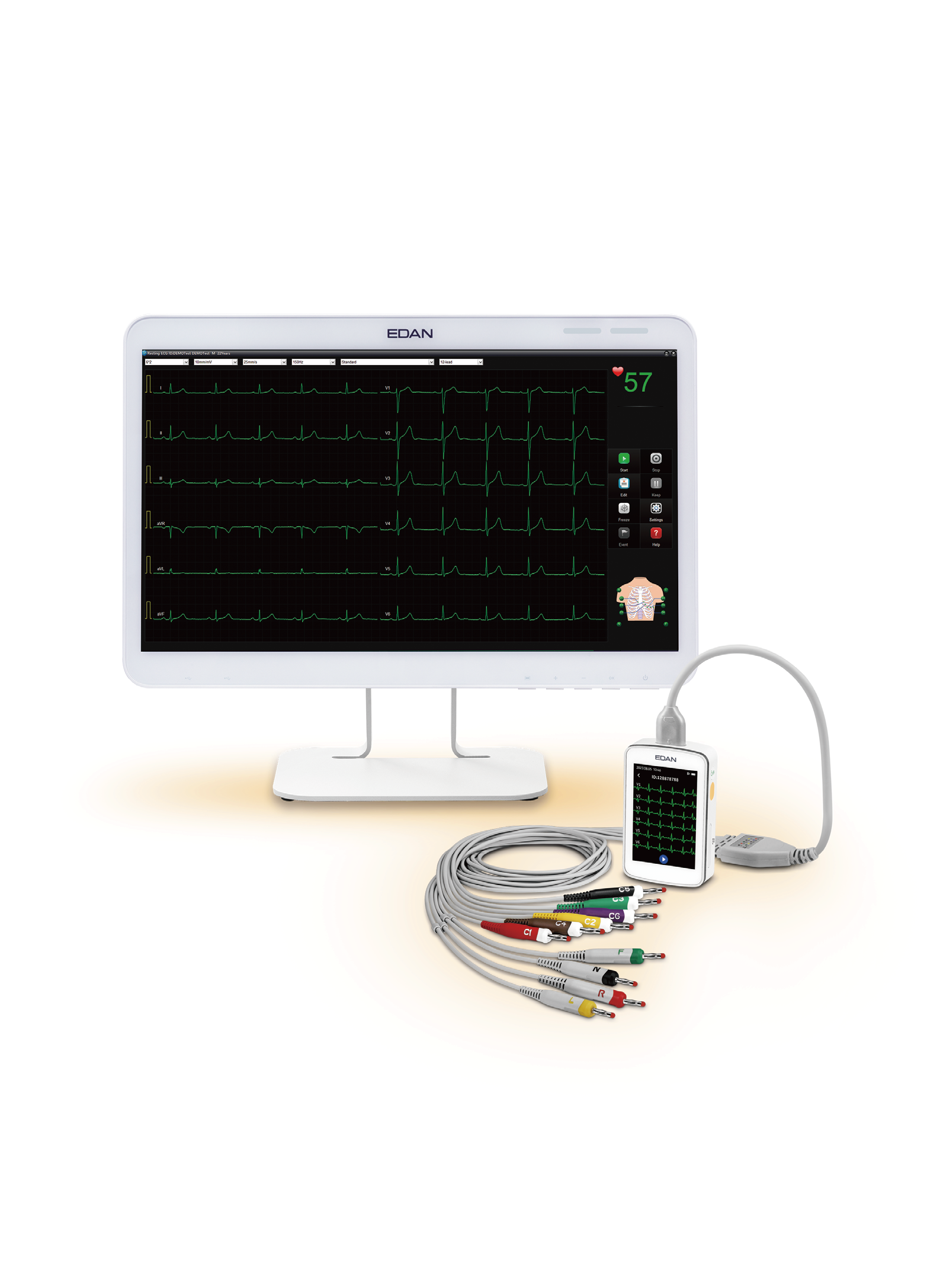Bicycle Ergometer + ECG, Adult 2